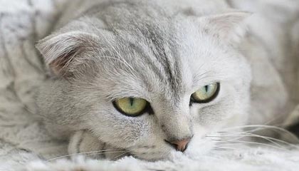 开云体育登陆入口-《《守望先锋》迎来重大平衡调整，新英雄“未来之光”亮相》，守望先锋2022