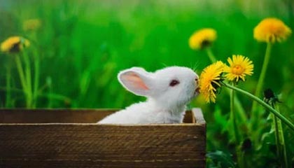 开云竞猜官网-《CS_GO超级决战，现场气氛燃爆全场》，超哥csgo